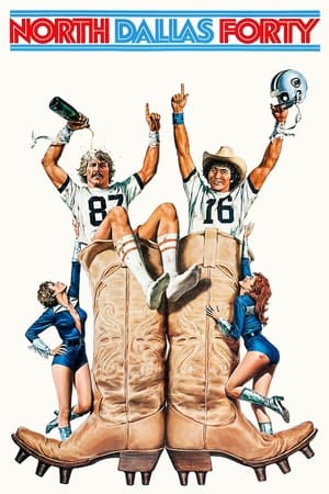 Poster I mastini del Dallas 1979