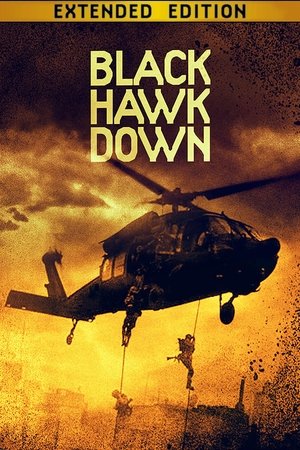 poster Black Hawk Down