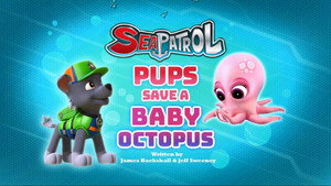 Épisode 13