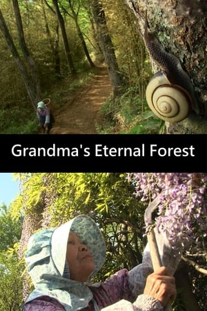 Poster Grandma's Eternal Forest (2013)