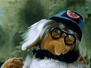 The Wombles Orinoco Sees The Light