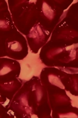Image The Love of the Three Pomegranates