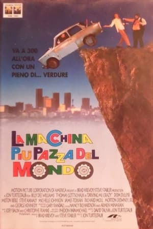 Poster L'auto più pazza del mondo 1991