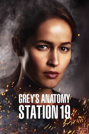 Image Grey's Anatomy : Station 19