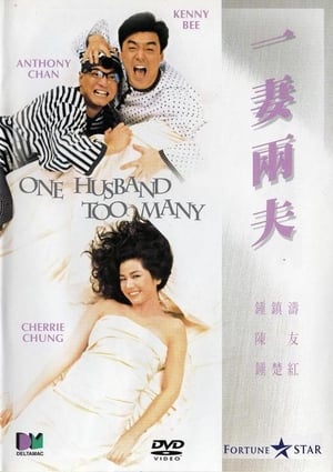 Poster 一妻兩夫 1988