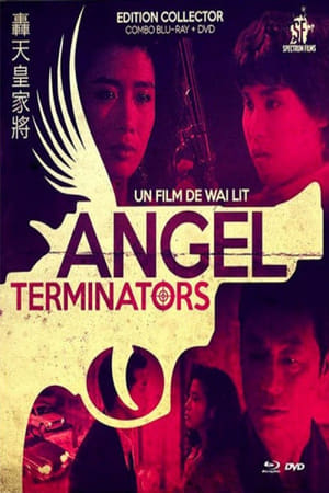 Poster Angel Terminators 1992