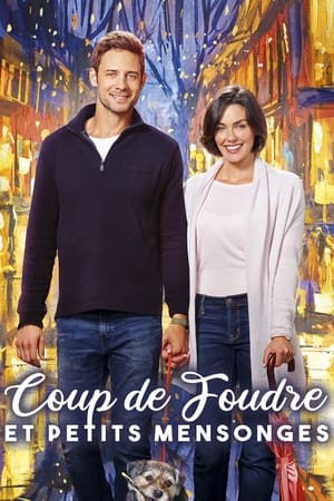 Poster Coup de foudre et petits mensonges 2017