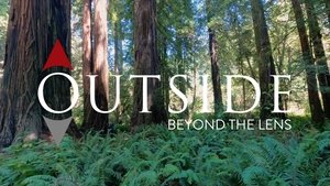 California North Coast Redwoods