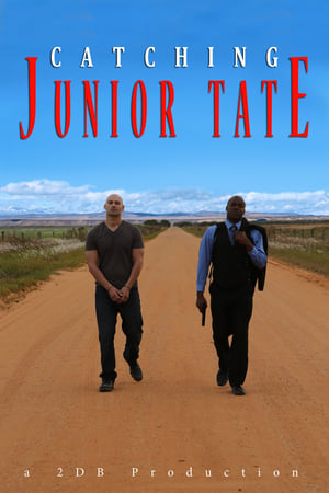 Poster Catching Junior Tate (2015)