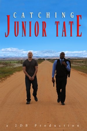 Poster Catching Junior Tate (2015)