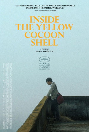 Inside the Yellow Cocoon Shell 20