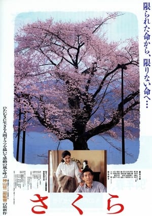 Poster Sakura (1994)