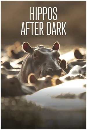 Poster Hippos after Dark (2015)