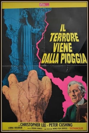 Il terrore viene dalla pioggia 1973