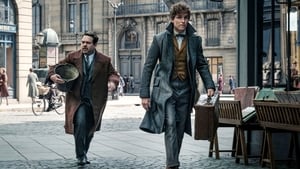 Animais Fantásticos: Os Crimes de Grindelwald