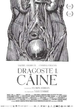 Dragoste 1. Câine 2018