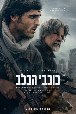 Image כוכבי הכלב