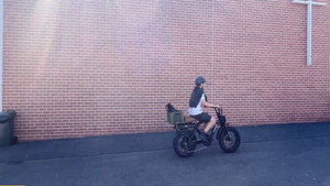 The Leg