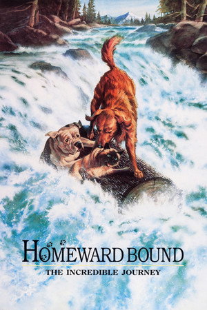 Постер фильма «Дорога домой: Невероятное путешествие (1993)» — (15 из 36)
