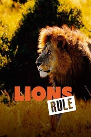 Poster Lions Rule 2020