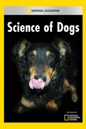 Poster National Geographic Explorer: Science of Dogs 2007