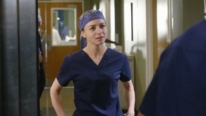 Grey’s Anatomy Season 12 Episode 8