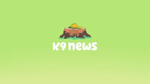 Image Bonus Bits - K9 News