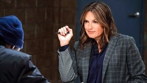 Law & Order – Unità vittime speciali 20 x 22