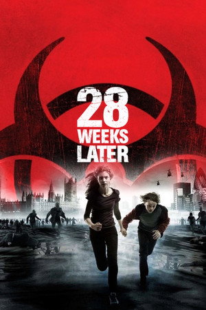 Постер фильма «28 недель спустя (2007)» — (44 из 110)