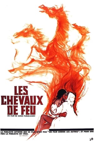 Poster Les Chevaux de feu 1965