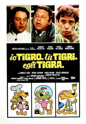 Image Io tigro, tu tigri, egli tigra