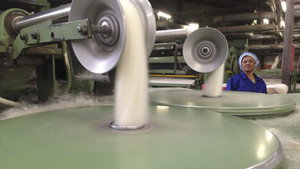 Mohair, Quadski, Harp