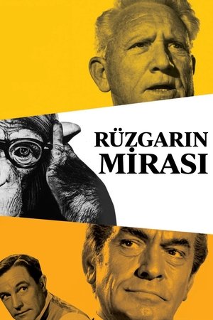 Image Rüzgarın Mirası