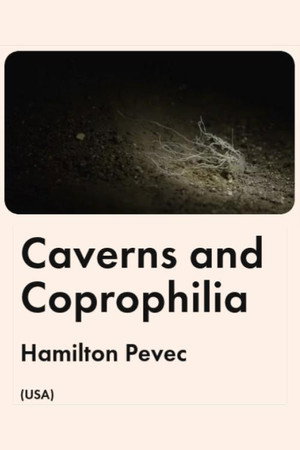 Caverns and Coprophilia