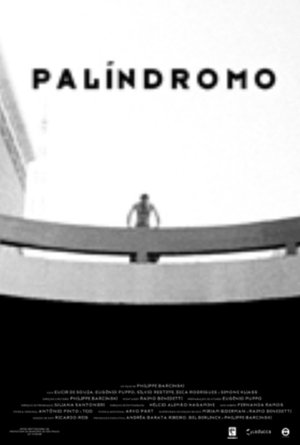 Palindrome poster