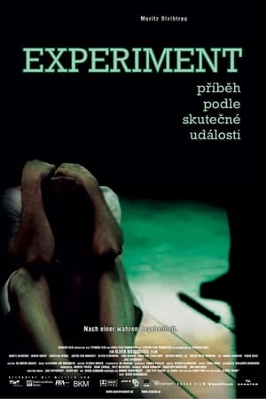 Experiment (2001)