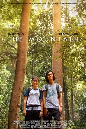 Poster The Mountain (2017)