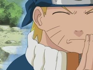 Naruto: Season 2 Episode 54 – Summoning Jutsu; Wisdom of the Toad Sage!