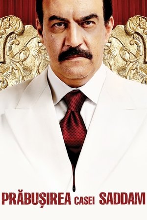 Image Prăbușirea casei Saddam