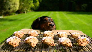 Matilda and the Ramsay Bunch: 4×6 {year} Online In Netflix