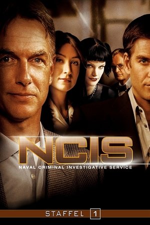 Navy CIS: Staffel 1