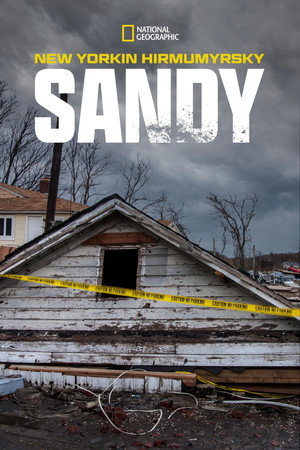 Superstorm New York: What Really Happened 19