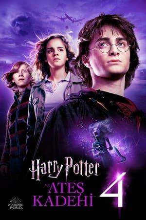 Harry Potter and the Goblet of Fire