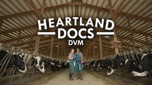 poster Heartland Docs, DVM