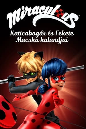 Image Miraculous - Katicabogár és Fekete Macska kalandjai