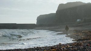 ดูหนัง Under the Skin (2013) สวย สูบ มนุษย์ [Full-HD]