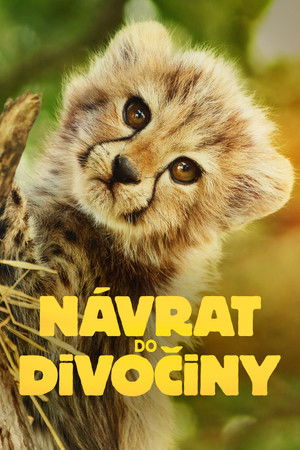 Image Návrat do divočiny