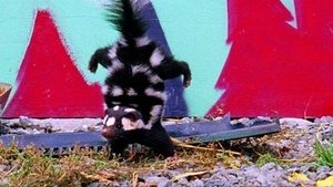 Bizarre Breeding