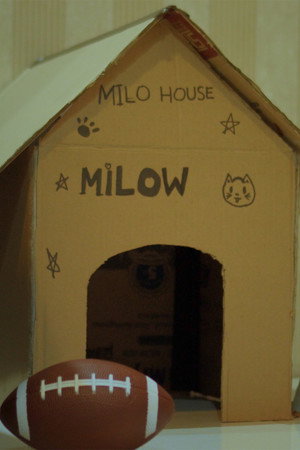 Where Milo Used to Sleep 2