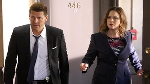 Bones: 11×15